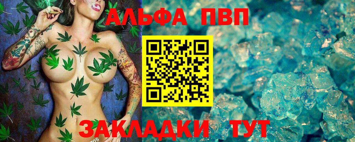 Alfa_PVP СК КРИС  Вход с VPN  Выборг 