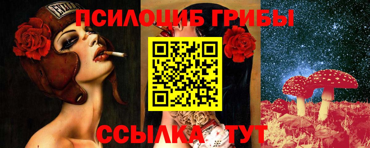 Альфа ПВП Выборг