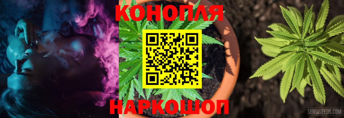 Бошки марихуана конопля  Конопля ГИДРОПОН  МАРИХУАНА THC 21%  Вход с VPN  Выборг  МАРИХУАНА Bruce Banner 